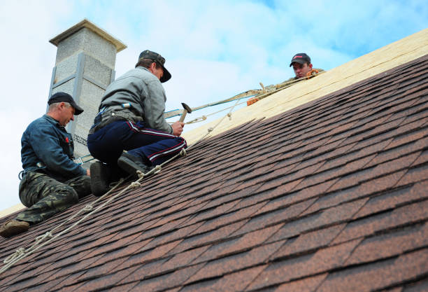 Quick and Trustworthy Emergency Roof Repair Services in Delshire, OH